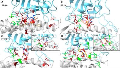 Exploring the disruption of SARS-CoV-2 RBD binding to hACE2